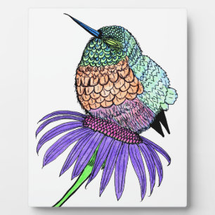 Fluffy Baby Hummingbird Plaque