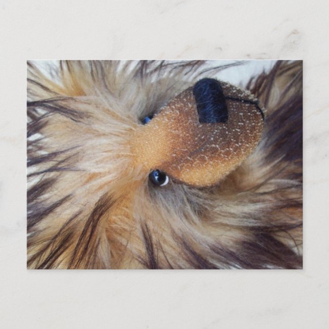 Fluffy Bear Postcard (Front)