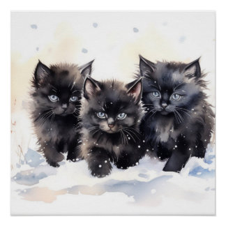 Fluffy Black Kittens Poster