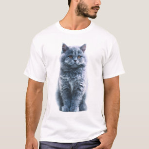 Fluffy Blue British Shorthair Kitten Portrait Men T-Shirt