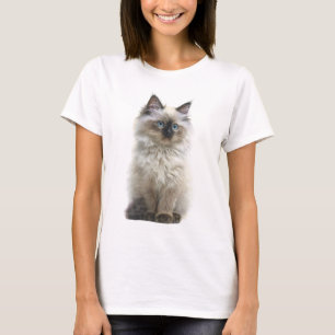 Fluffy Blue Eyed Himalayan Cat Portrait Women T-Shirt