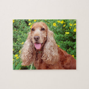 Fluffy Brown Dog Jigsaw Puzzle