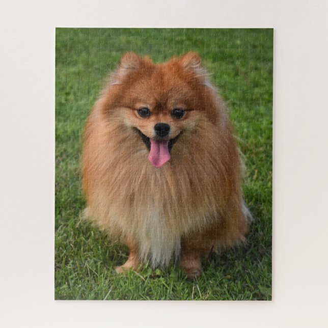 Fluffy Brown Pomeranian Puppy Dog Jigsaw Puzzle (Vertical)