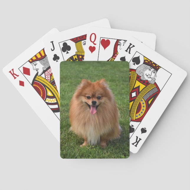 Fluffy Brown Pomeranian Puppy Dog Playing Cards (Back)