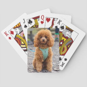 Fluffy Brown Poodle Puppy Dog Playing Cards