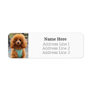 Fluffy Brown Poodle Puppy Dog Return Address