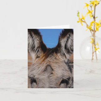 Fluffy Burro - Thank You Card