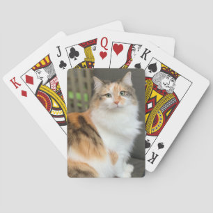 Fluffy Calico Kitty Cat Playing Cards