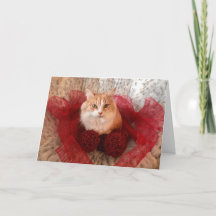 Fluffy Cat and Red Ribbon Holiday Greeting Card