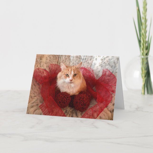 Fluffy Cat and Red Ribbon Holiday Greeting Card (Front)