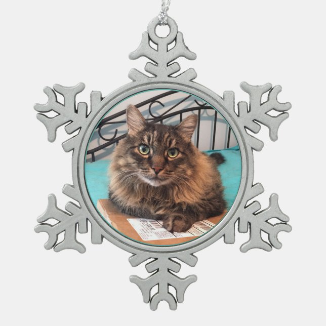 Fluffy Cat Ornament (Front)