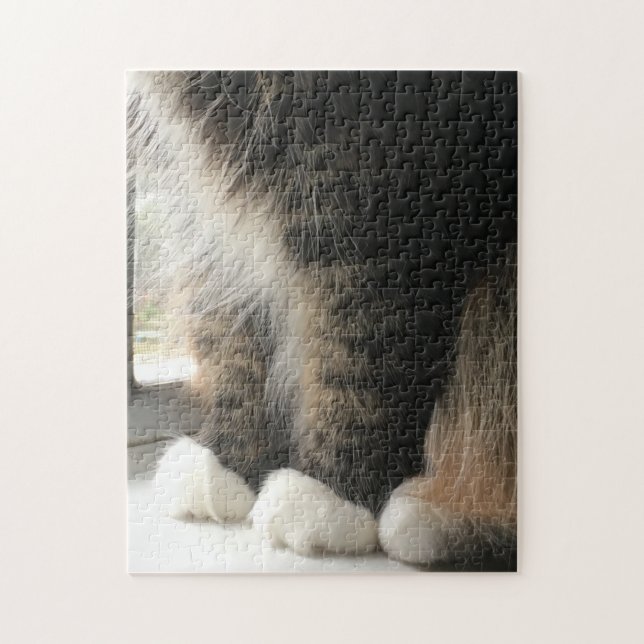 Fluffy Cat Paws Jigsaw Puzzle (Vertical)