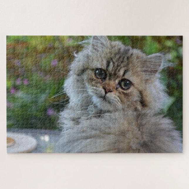 fluffy cat puzzle (Horizontal)