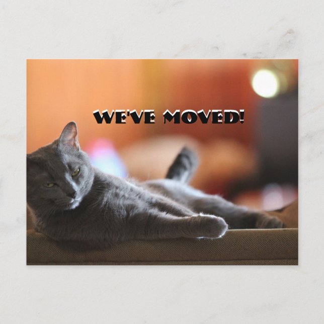 Fluffy cat saying we've have moved new address announcement postcard (Front)