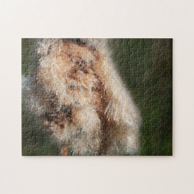 Fluffy Cattail Nature Jigsaw Puzzle (Horizontal)