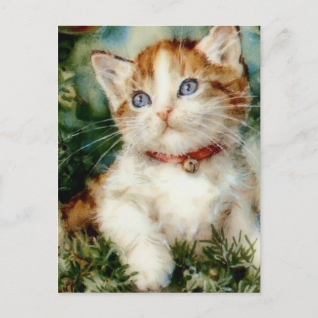 Fluffy christmas cat Watercolor Postcard (Front)