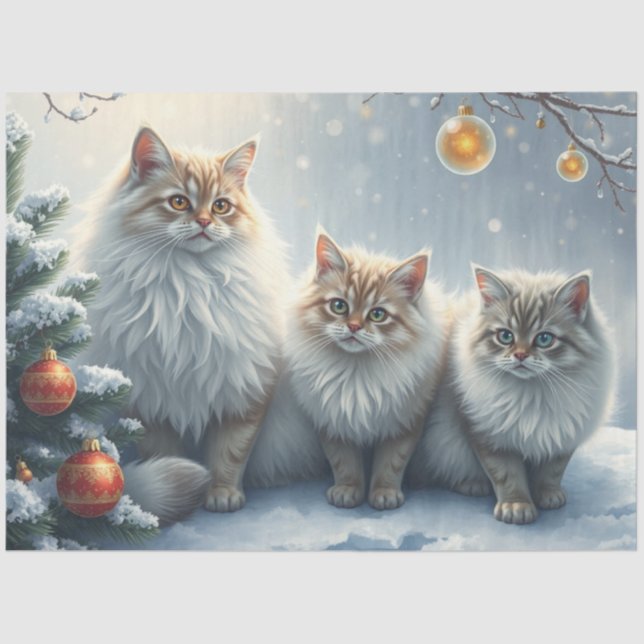 Fluffy Christmas Cats Tissue Paper (Front)