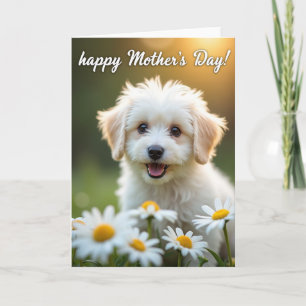 Fluffy Dog Mothers Day Scene Card