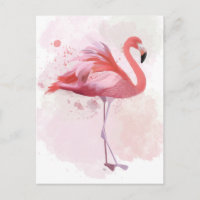 Fluffy Flamingo