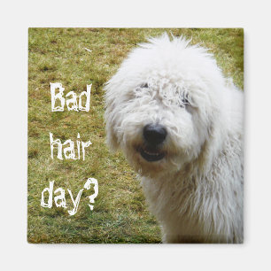 Fluffy Frizzy Bad Hair Day Dog Magnet