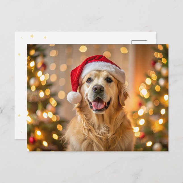 Fluffy golden retriever wearing a red Santa hat Holiday Postcard (Front/Back)