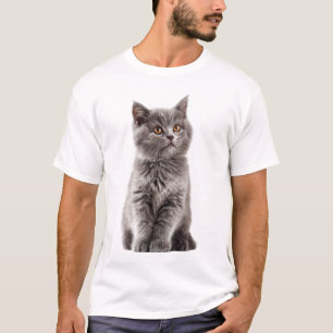 Fluffy Grey British Shorthair Golden Eyes Men T-Shirt