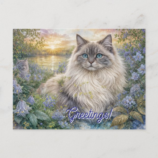 Fluffy Himalayan Cat In Purple Garden at Sunrise Postcard (Front)