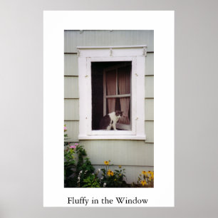 Fluffy in the Window Poster