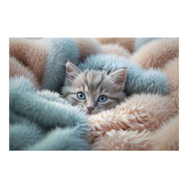 Fluffy Kitten in a Soft Blanket Photo Print (Front)