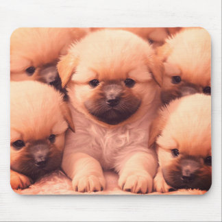 Fluffy Litter of Puppies on Laptop Desktop Tablet Mouse Pad