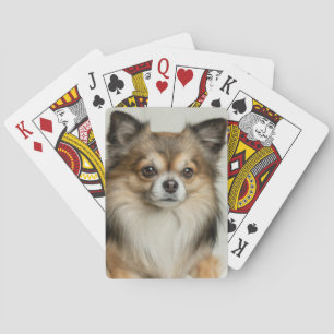Fluffy Long Haired Chihuahua Puppy Dog Playing Cards