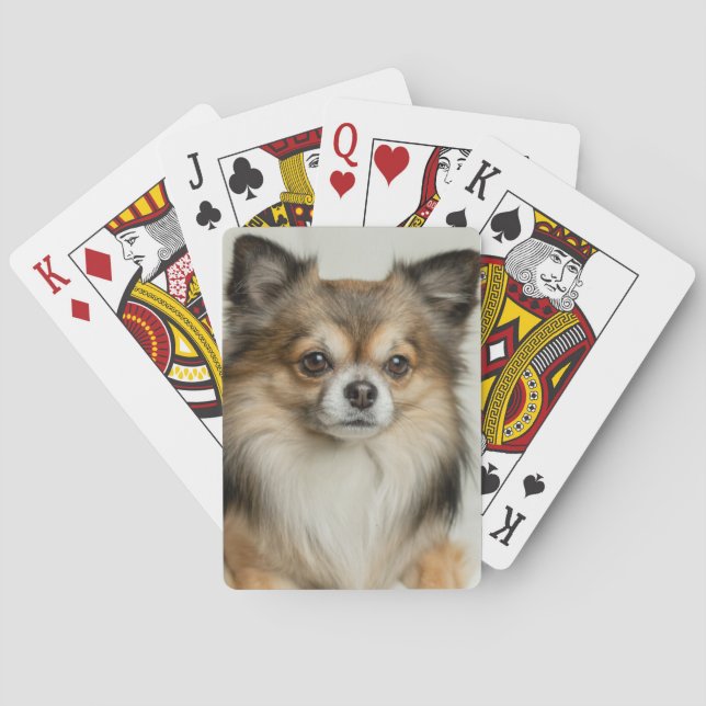 Fluffy Long Haired Chihuahua Puppy Dog Playing Cards (Back)