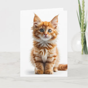 Fluffy Long-Haired Orange Tabby Cat Blank Card
