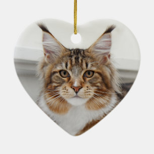 Fluffy Maine Coon Cat Ceramic Tree Decoration