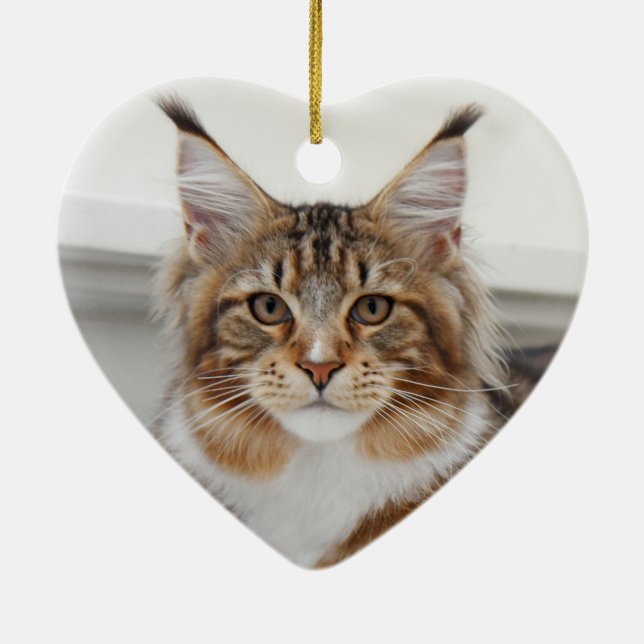 Fluffy Maine Coon Cat Ceramic Tree Decoration (Back)