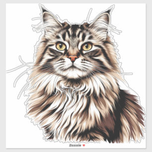 Fluffy Maine Coon Cat With Striking Fur