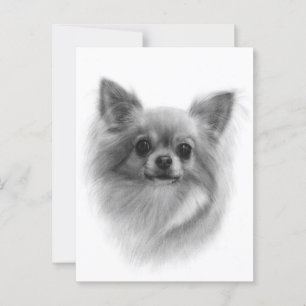 Fluffy Majesty - Hand Painted Chihuahua Portrait Postcard