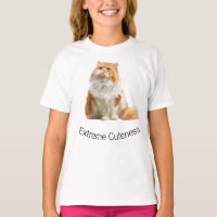 Fluffy Orange Cat Gaze Portrait