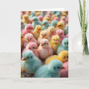 Fluffy Pastel Chicks Photo Card
