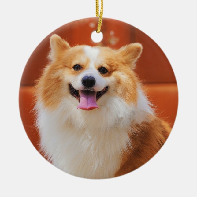 Fluffy Pembroke Welsh corgi Dog Ceramic Tree Decoration (Front)