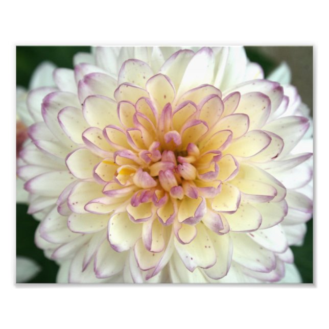 fluffy photo print (Front)