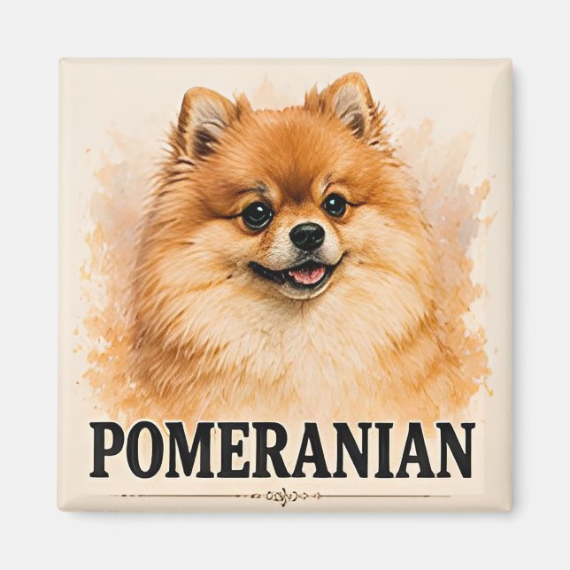 Fluffy Pomeranian Dog Lover Gift Magnet (Front)