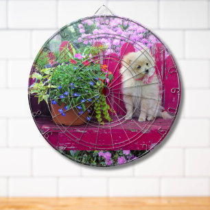 Fluffy Pomeranian Puppy on Rustic Garden Bench Dartboard
