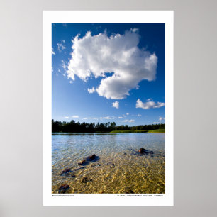 Fluffy Poster