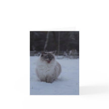 Fluffy Ragdoll Cat in the Snow Greeting Card