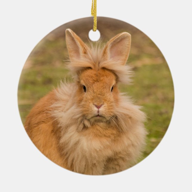 Fluffy Red Lionhead Bunny Rabbit Ceramic Tree Decoration (Back)