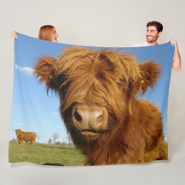 Fluffy Scottish Highland Cow - Blue Sky Fleece Blanket (In Situ)