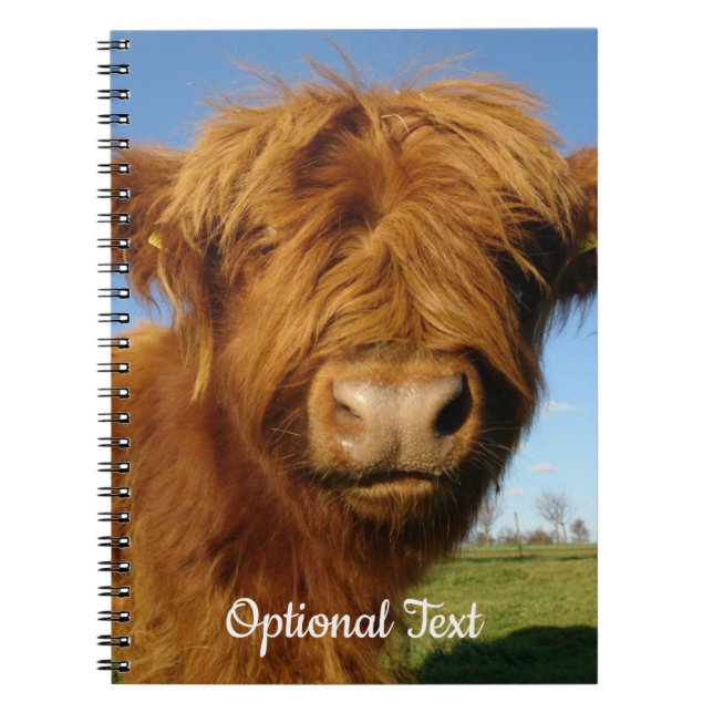 Fluffy Scottish Highland Cow - Blue Sky Notebook (Front)