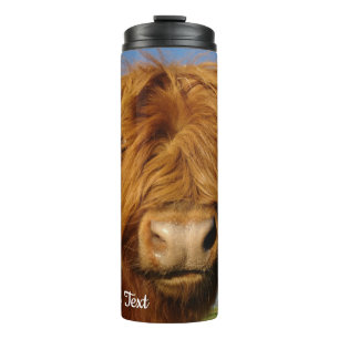 Fluffy Scottish Highland Cow - Blue Sky Thermal Tumbler