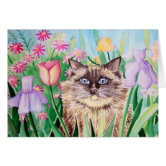 Fluffy Siamese Burmese Cat Card Molly Harrison (Front Horizontal)